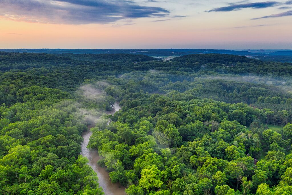 Conservation of forest and wildlife